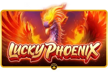 79bet17